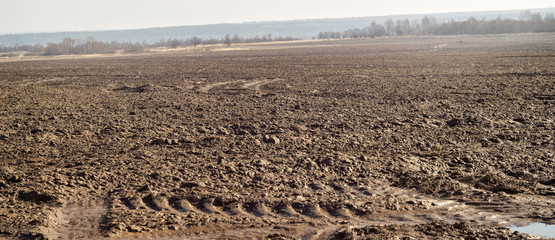 Wall Mural - Fallow field at early spring
