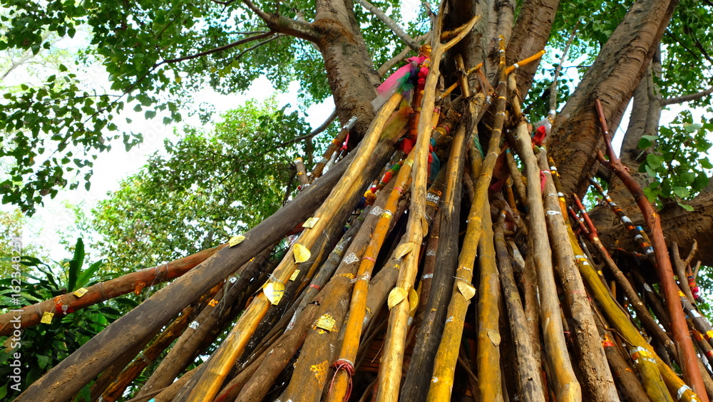 long wood for support big tree. Thai culture on The north of Thailand ...