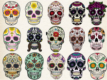 Trendy Sugar Skulls Set With Skulls In Different Styles