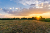 Fototapeta Na ścianę - Friedlicher Sonnenaufgang über einem Feld 