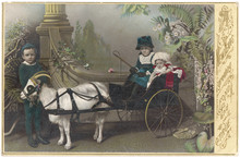 Two In A Goat-Cart - Circa 1880. Date: Circa 1880
