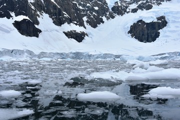 Canvas Print - Icebergs and ice shards in Antarctica