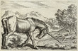 Unicorn - Reptiles. Date: 17th century