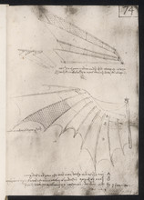 Leonardo Wings. Date: Circa 1500