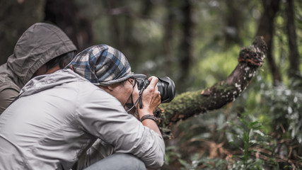 Wall Mural - Nature Wildlife Photographer