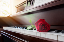 Red Rose On The Piano In Church With Warm Light At Sunday Morning, Vintage Filter.