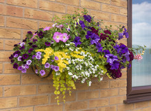 Large Hanging Basket Of Flowers With A Wide Range Of Colors For The Summer.