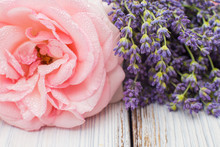 Little Bouquet Of Organic English Roses With Lavender - Nice And Beautiful Small Gift For Your Women