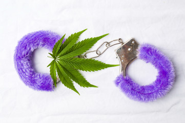 Wall Mural - Marijuana plant and toy handcuffs