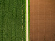 Aerial view ; Rows of soil before planting.Furrows row pattern in a plowed field prepared for planting crops in spring and a corn field grows full of a half area. Horizontal view in perspective.