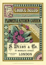 S Dixon - Co Seed Catalogue. Date: 1885