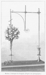 Wall Mural - Florist's device for fastening bouquets of flowers. Date: 1887