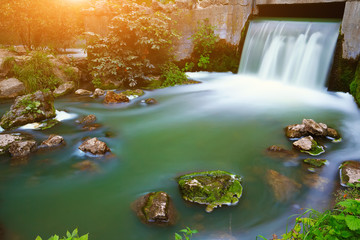 Wall Mural - River deep in mountain forest