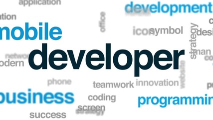Wall Mural - developer animated word cloud, text design animation.