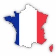 France Map Outline with French Flag on White with Shadows 3D Illustration