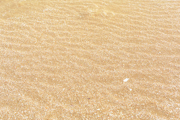 Sand texture top view