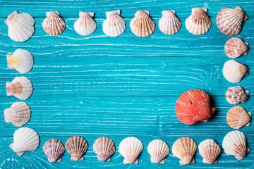 Wall Mural - Seashells on blue wooden background