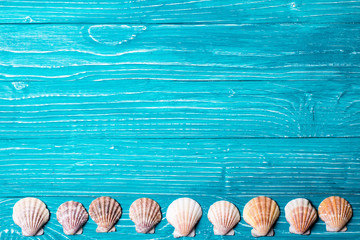 Wall Mural - Seashells on blue wooden background