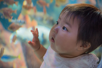 家族で水族館