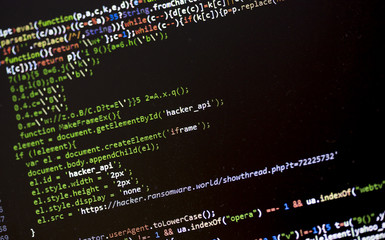 Wall Mural - hacker api text on the computer screen to demonstrate ransomware and cybercrime activities. image ta