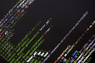 Wall Mural - hacker api text on the computer screen to demonstrate ransomware and cybercrime activities. image ta