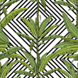 Vector drawn banana palm tree seamless pattern with leaves on white background in a sketch style. Exotic collection.