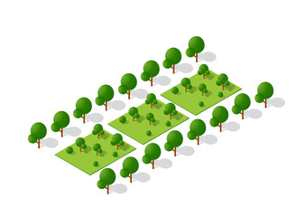 Isometric 3d trees forest camping nature elements white background for landscape design. Vector illustration isolated. Icons for city maps, games and your town