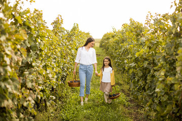 young mother and her cute girl have fun in autumn vineyard