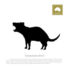 Black Silhouette Of  Tasmanian Devil On White Background. Animals Of Australia. Vector Illustration 