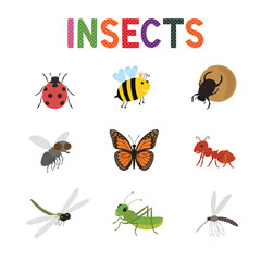 Funny insects, cute cartoon bugs vector set. Colored insects bee butterfly and ladybird,