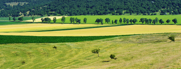 Wall Mural - Beautiful summer landscape in Dobrogea region, Romania. View from Enisala medieval fortress.