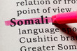 © Feng Yu - definition of Somali