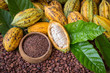 Ripe cocoa pod and nibs, cocoa beans setup background