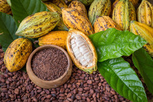 Ripe Cocoa Pod And Nibs, Cocoa Beans Setup Background