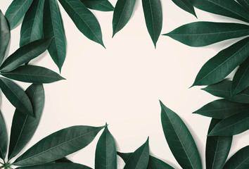 Wall Mural - green leaf pattern border on white background