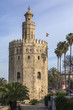 Torre Del Oro - Seville - Spain