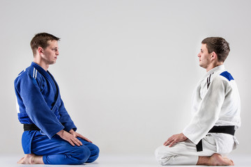 Wall Mural - The two judokas fighters fighting men