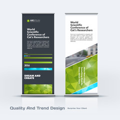 Wall Mural - Abstract business vector set of modern roll Up Banner stand design template with colourful lines