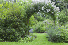 English Cottage Garden With White Rose Arch Entrance, And Colorful Summer Flowers In Bloom .