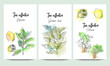 Vertical vector banners of hand drawn tea collection. Citrus, green tea, lemon. An idea for design, invitation, save the date card.