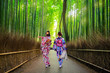 Women in kimono at bamboo forest of Arashiyama near Kyoto, Japan
