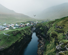 Bird Flying Above Gorge In Faroese Village