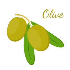 Wall Mural - Olive branch, olives. Cosmetics, medical plant. Natural vegetarian food