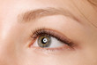 © below - Closeup shot of female eye with day makeup