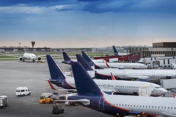 Many airplanes near the terminal in an airport at the sunset