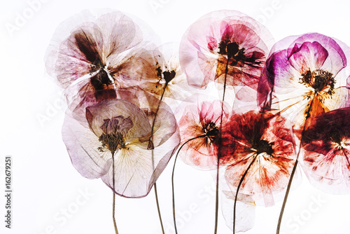 Dekoracja na wymiar  wysuszone-kwiaty