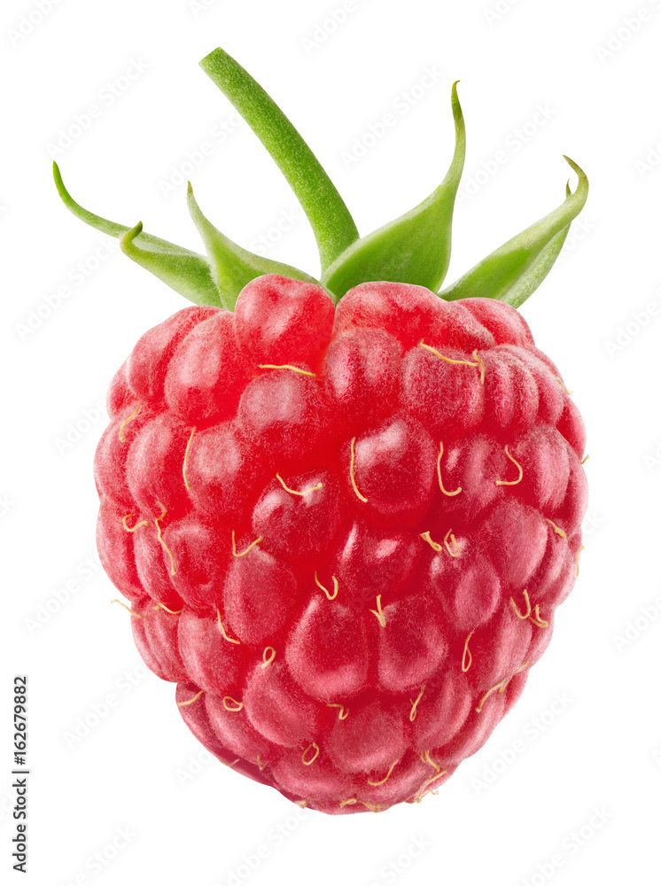 Isolated berry. One single fresh raspberry fruit isolated on white background with clipping path - obrazy, fototapety, plakaty 
