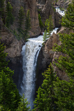 Tower Fall With Trees In Yellowstone National Park, Wyoming