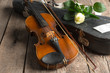 © fotofabrika - Beautiful violin