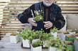 © Maskot - Midsection of senior man arranging various potted plants in tray at table